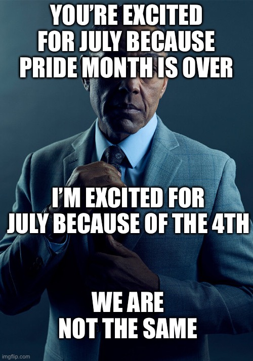 MERICA!!!! | YOU’RE EXCITED FOR JULY BECAUSE PRIDE MONTH IS OVER; I’M EXCITED FOR JULY BECAUSE OF THE 4TH; WE ARE NOT THE SAME | image tagged in gus fring we are not the same | made w/ Imgflip meme maker