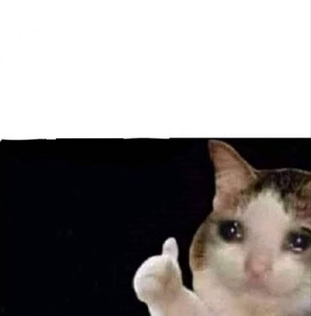 High Quality Crying Cat Blank Meme Template