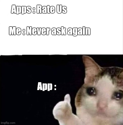 Nah bro now i feel bad ? | Apps : Rate Us; Me : Never ask again; App : | image tagged in crying cat | made w/ Imgflip meme maker