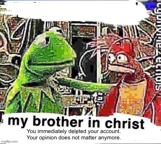 My brother in Christ | You immediately deleted your account. Your opinion does not matter anymore. | image tagged in my brother in christ | made w/ Imgflip meme maker