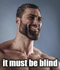 Colorized Gigachad | it must be blind | image tagged in colorized gigachad | made w/ Imgflip meme maker