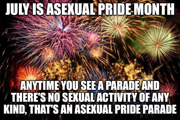 July 4th | JULY IS ASEXUAL PRIDE MONTH; ANYTIME YOU SEE A PARADE AND THERE'S NO SEXUAL ACTIVITY OF ANY KIND, THAT'S AN ASEXUAL PRIDE PARADE | image tagged in july 4th | made w/ Imgflip meme maker