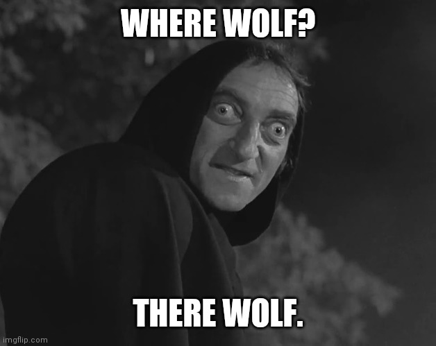 Igor | WHERE WOLF? THERE WOLF. | image tagged in igor | made w/ Imgflip meme maker