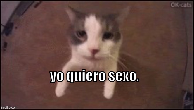 yo quiero sexo. | made w/ Imgflip meme maker