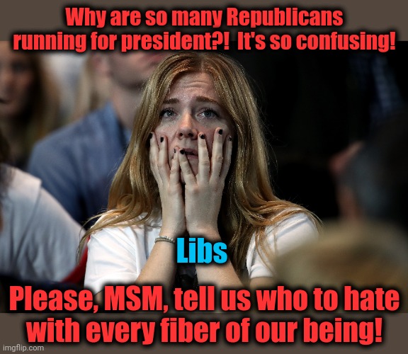 Tell us who to hate! | Why are so many Republicans running for president?!  It's so confusing! Libs; Please, MSM, tell us who to hate
with every fiber of our being! | image tagged in memes,democrats,republicans,president,election 2024,hatred | made w/ Imgflip meme maker