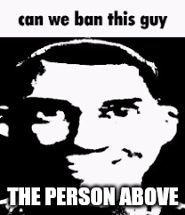 Can we ban this guy | THE PERSON ABOVE | image tagged in can we ban this guy | made w/ Imgflip meme maker