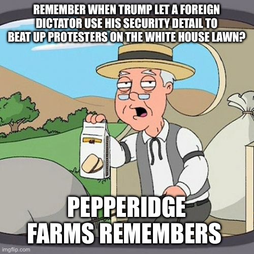 Pepperidge Farm Remembers | REMEMBER WHEN TRUMP LET A FOREIGN DICTATOR USE HIS SECURITY DETAIL TO BEAT UP PROTESTERS ON THE WHITE HOUSE LAWN? PEPPERIDGE FARMS REMEMBERS | image tagged in memes,pepperidge farm remembers | made w/ Imgflip meme maker