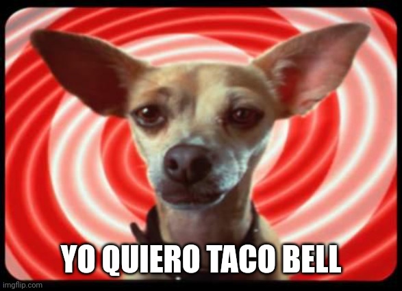 Some of you might remember this... | YO QUIERO TACO BELL | image tagged in taco bell dog | made w/ Imgflip meme maker