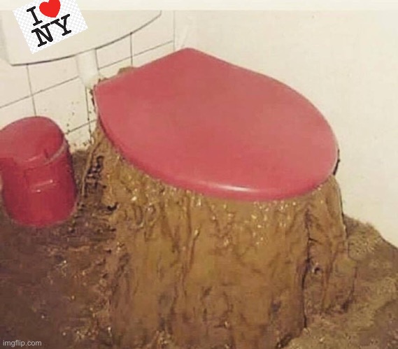 Overflowing toilet  | image tagged in overflowing toilet | made w/ Imgflip meme maker