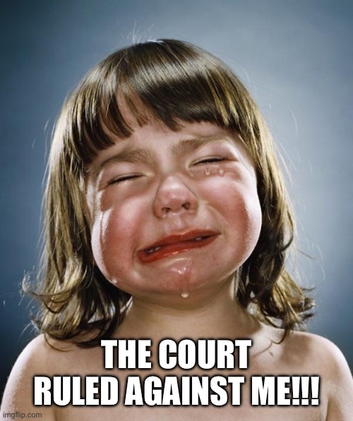 Crybaby | THE COURT RULED AGAINST ME!!! | image tagged in crybaby | made w/ Imgflip meme maker
