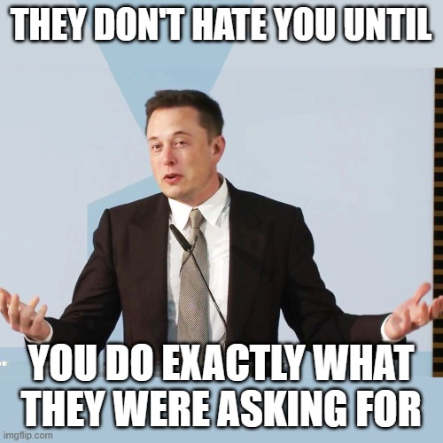 Elon Musk | THEY DON'T HATE YOU UNTIL YOU DO EXACTLY WHAT THEY WERE ASKING FOR | image tagged in elon musk | made w/ Imgflip meme maker