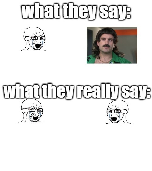 High Quality what they say VS what they really say Blank Meme Template