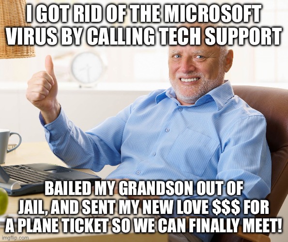 Best day ever! | I GOT RID OF THE MICROSOFT VIRUS BY CALLING TECH SUPPORT; BAILED MY GRANDSON OUT OF JAIL, AND SENT MY NEW LOVE $$$ FOR A PLANE TICKET SO WE CAN FINALLY MEET! | image tagged in hide the pain harold | made w/ Imgflip meme maker