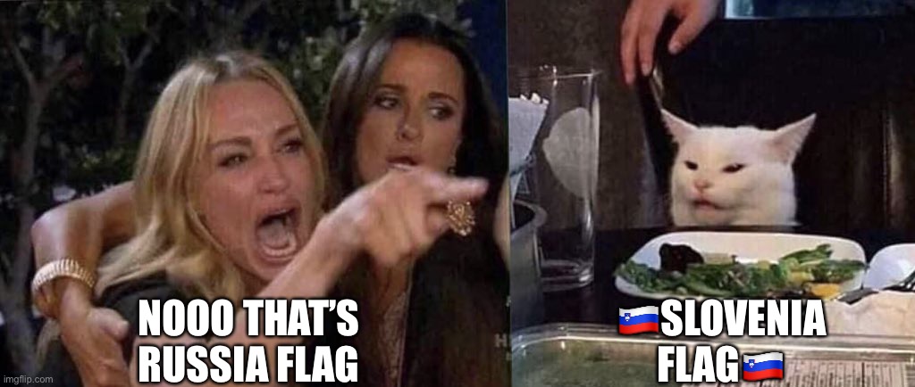 woman yelling at cat | NOOO THAT’S RUSSIA FLAG; 🇸🇮SLOVENIA FLAG🇸🇮 | image tagged in woman yelling at cat | made w/ Imgflip meme maker