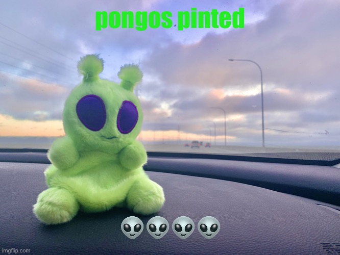 gnarp gnarp plush | pongos pinted; 👽👽👽👽 | image tagged in gnarp gnarp plush | made w/ Imgflip meme maker