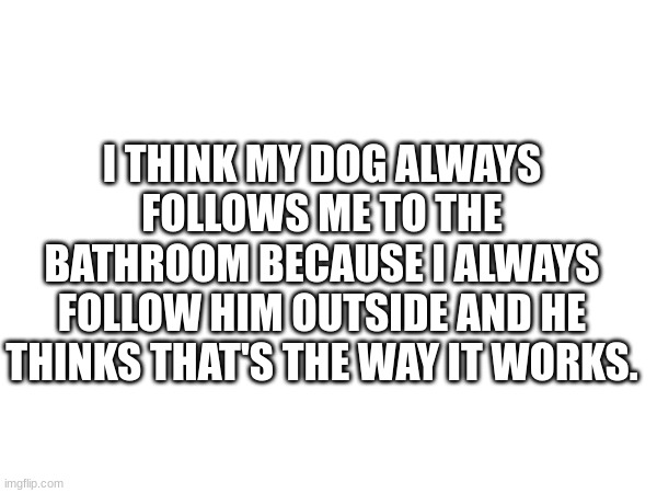 Dog Follows Me | I THINK MY DOG ALWAYS FOLLOWS ME TO THE BATHROOM BECAUSE I ALWAYS FOLLOW HIM OUTSIDE AND HE THINKS THAT'S THE WAY IT WORKS. | image tagged in dogs pets funny | made w/ Imgflip meme maker