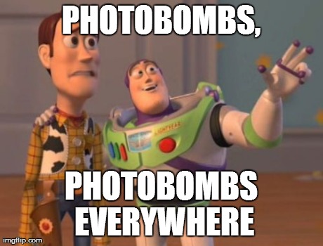 They're all over! | PHOTOBOMBS, PHOTOBOMBS EVERYWHERE | image tagged in memes,x x everywhere | made w/ Imgflip meme maker