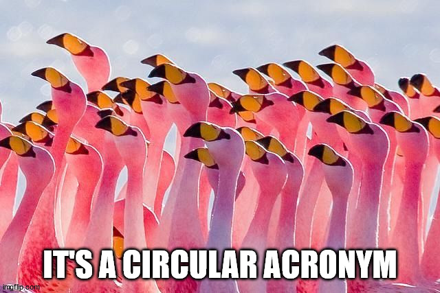 Circle of flamingo | IT'S A CIRCULAR ACRONYM | image tagged in circle of flamingo | made w/ Imgflip meme maker