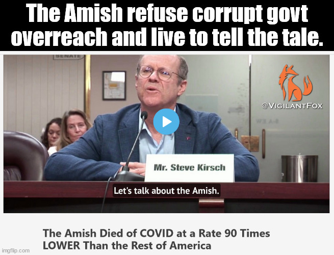 The Amish survived the scamdemic 90% better than the US society slave class. | The Amish refuse corrupt govt overreach and live to tell the tale. | image tagged in memes,politics | made w/ Imgflip meme maker