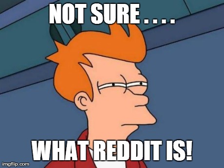 Futurama Fry Meme | NOT SURE . . . . WHAT REDDIT IS! | image tagged in memes,futurama fry | made w/ Imgflip meme maker