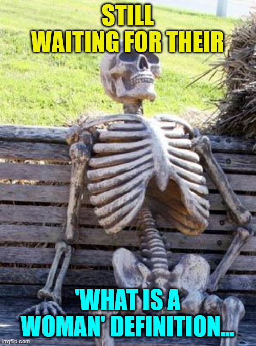 Waiting Skeleton Meme | STILL WAITING FOR THEIR 'WHAT IS A WOMAN' DEFINITION... | image tagged in memes,waiting skeleton | made w/ Imgflip meme maker