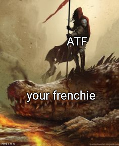 Dragon Slayer | ATF; your frenchie | image tagged in dragon slayer | made w/ Imgflip meme maker