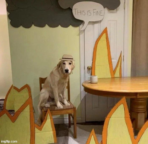 https://imgflip.com/memetemplate/468959396/this-is-fine | image tagged in this is fine | made w/ Imgflip meme maker