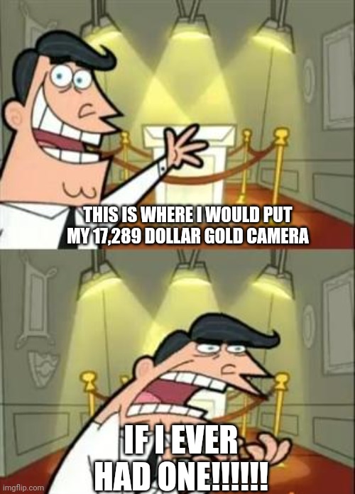 Sorry for not posting for a while | THIS IS WHERE I WOULD PUT MY 17,289 DOLLAR GOLD CAMERA; IF I EVER HAD ONE!!!!!! | image tagged in memes,this is where i'd put my trophy if i had one,lol | made w/ Imgflip meme maker