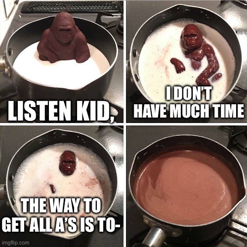 Great, now I’m gonna fail | I DON’T HAVE MUCH TIME; LISTEN KID, THE WAY TO GET ALL A’S IS TO- | image tagged in chocolate gorilla,memes,funny,funny memes,school | made w/ Imgflip meme maker