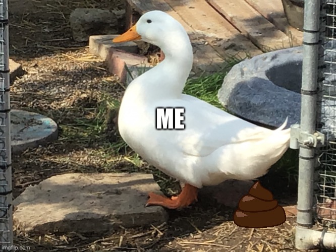 Ate to many tacos | ME | image tagged in drake the duck | made w/ Imgflip meme maker