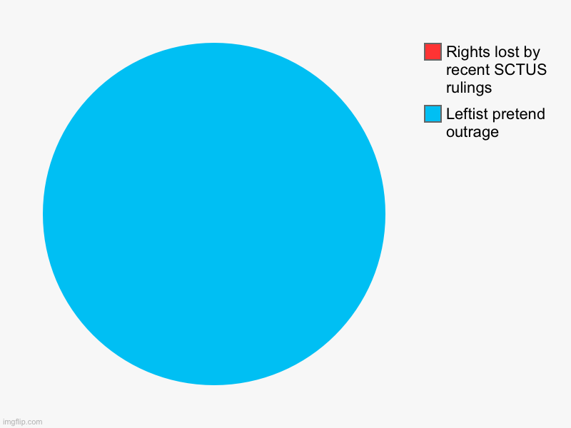 Watching leftists claim equality in school admissions is bad has been entertaining | Leftist pretend outrage , Rights lost by recent SCTUS rulings | image tagged in charts,pie charts,politics lol,memes | made w/ Imgflip chart maker