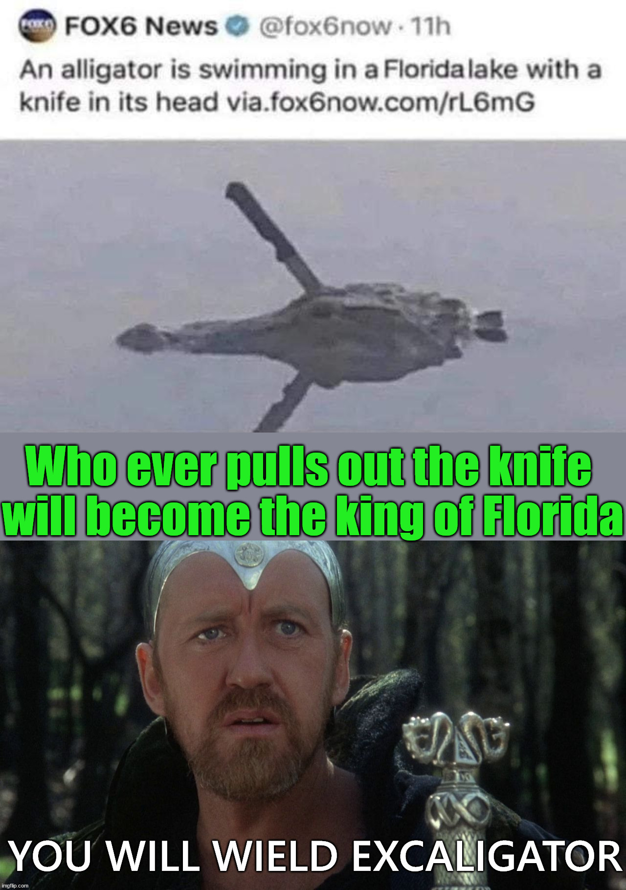 The coronation begins this weekend | Who ever pulls out the knife 
will become the king of Florida | image tagged in excalibur,the dark knight,florida man,coronation | made w/ Imgflip meme maker