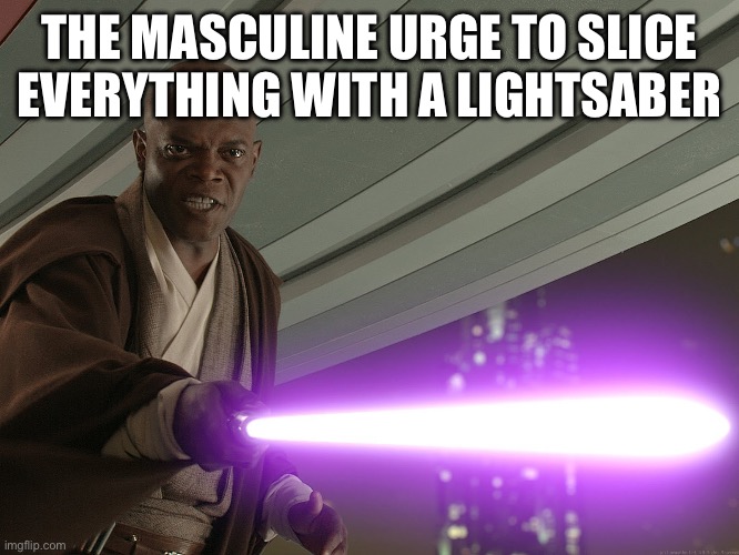 He's too dangerous to be left alive! | THE MASCULINE URGE TO SLICE EVERYTHING WITH A LIGHTSABER | image tagged in he's too dangerous to be left alive | made w/ Imgflip meme maker