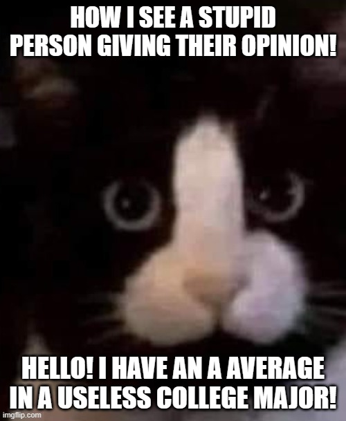 Stupid Person Meme | HOW I SEE A STUPID PERSON GIVING THEIR OPINION! HELLO! I HAVE AN A AVERAGE IN A USELESS COLLEGE MAJOR! | image tagged in idiot skull,morons,special kind of stupid | made w/ Imgflip meme maker