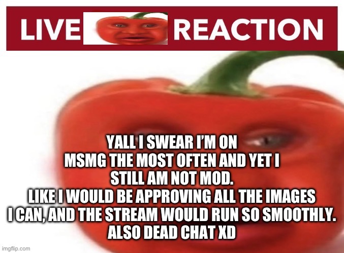 Live pepper reaction | YALL I SWEAR I’M ON MSMG THE MOST OFTEN AND YET I STILL AM NOT MOD.
LIKE I WOULD BE APPROVING ALL THE IMAGES I CAN, AND THE STREAM WOULD RUN SO SMOOTHLY.
ALSO DEAD CHAT XD | image tagged in live pepper reaction | made w/ Imgflip meme maker