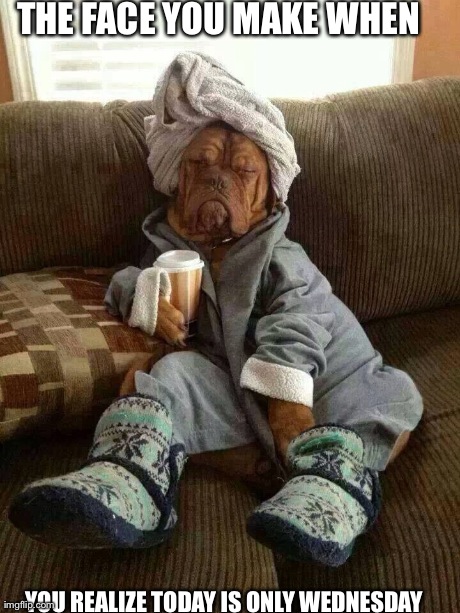 THE FACE YOU MAKE WHEN  YOU REALIZE TODAY IS ONLY WEDNESDAY | made w/ Imgflip meme maker