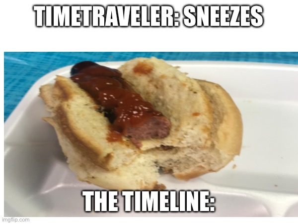 A hotdog in hamburger bun | TIMETRAVELER: SNEEZES; THE TIMELINE: | image tagged in hot dog,hamburger,time travel,timeline | made w/ Imgflip meme maker