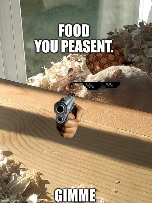 Vanilla jr | FOOD YOU PEASENT. GIMME | image tagged in vanilla jr | made w/ Imgflip meme maker