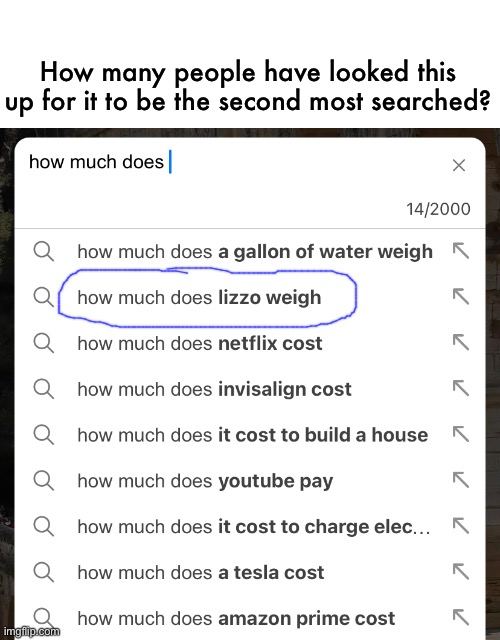 2 Be Searched (am I heavy?) | How many people have looked this up for it to be the second most searched? | image tagged in meme,search engine,lizzo,why do people even care,funny | made w/ Imgflip meme maker