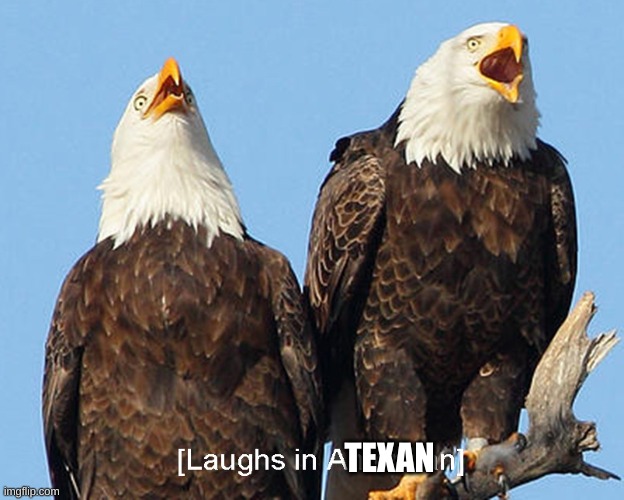 laughs in american | TEXAN | image tagged in laughs in american | made w/ Imgflip meme maker