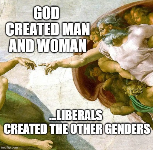 GOD 
CREATED MAN AND WOMAN; ...LIBERALS 
CREATED THE OTHER GENDERS | made w/ Imgflip meme maker