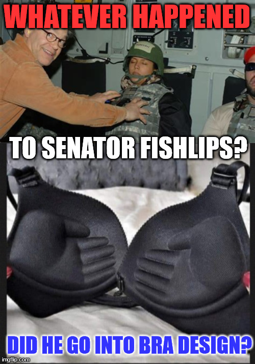 Whatever happened to Sen. Fishlips? | WHATEVER HAPPENED; TO SENATOR FISHLIPS? DID HE GO INTO BRA DESIGN? | image tagged in old pervert,democrats | made w/ Imgflip meme maker