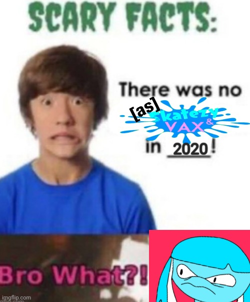 SCARY FACTS!!! THERE WAS NO SKATEZY & VAX IN 2020! BRO WHAT?! | 2020 | made w/ Imgflip meme maker