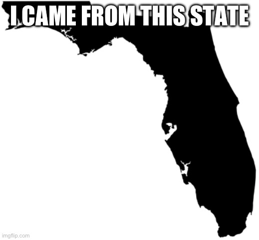 I Was Born In The Capital Of Florida | I CAME FROM THIS STATE | image tagged in florida | made w/ Imgflip meme maker