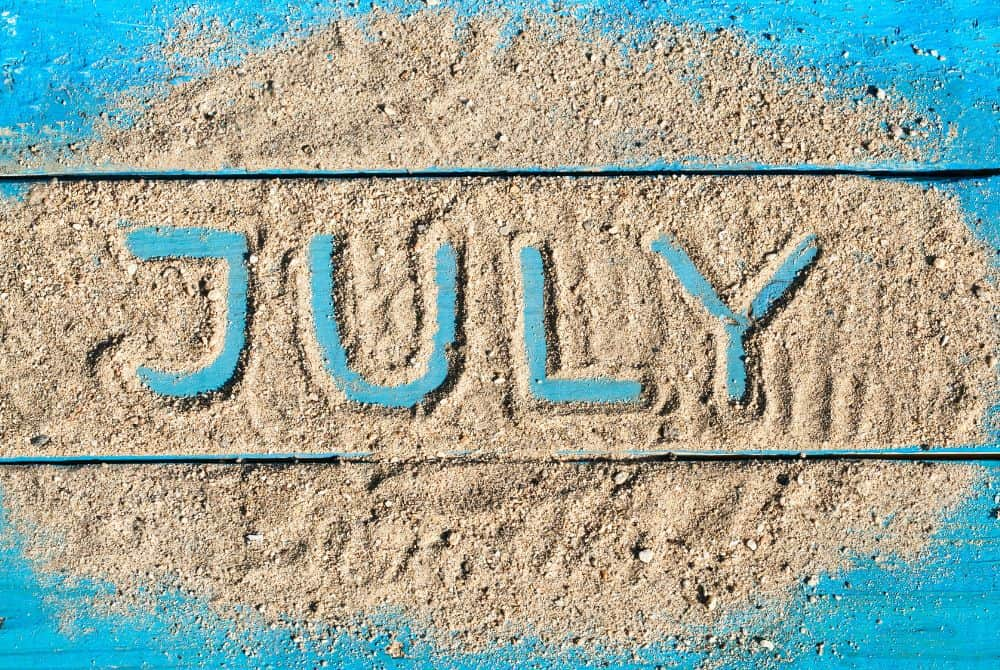 High Quality July Fun Facts - Made with HAPPY Blank Meme Template