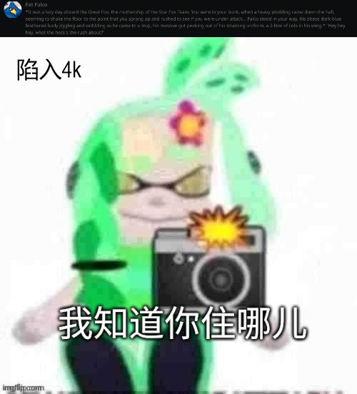 陷入4k | image tagged in mint with chinese text | made w/ Imgflip meme maker