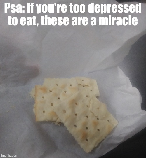 They're hella cheap, completely flavorless and they like never mold and are already stale so you can just keep an on your bed if | Psa: If you're too depressed to eat, these are a miracle | made w/ Imgflip meme maker