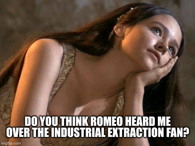 romeo and juliet balcony | DO YOU THINK ROMEO HEARD ME OVER THE INDUSTRIAL EXTRACTION FAN? | image tagged in romeo and juliet balcony | made w/ Imgflip meme maker