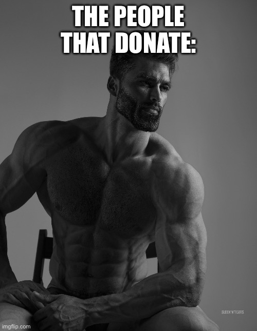 Giga Chad | THE PEOPLE THAT DONATE: | image tagged in giga chad | made w/ Imgflip meme maker