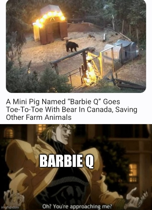 The bear wasn't brown until after meeting BARBIE Q | BARBIE Q | image tagged in oh you re approaching me,memes,funny | made w/ Imgflip meme maker